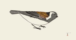 Timmiaralaaq (Little Bird)