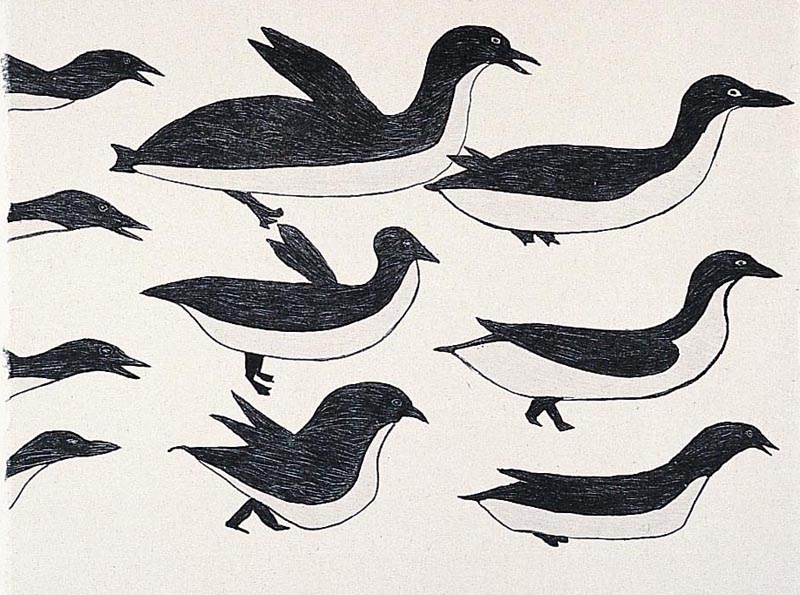 Flock of Birds by Ohotaq Mikkigak