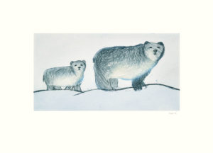 Roaming Bears by Annie Parr