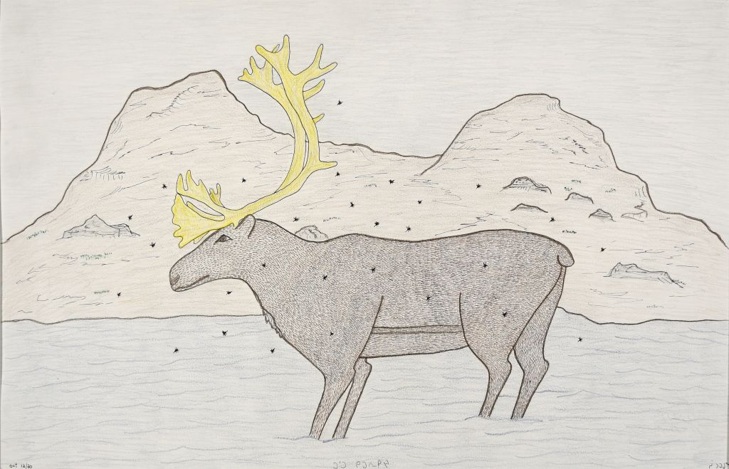 (Untitled) Caribou
