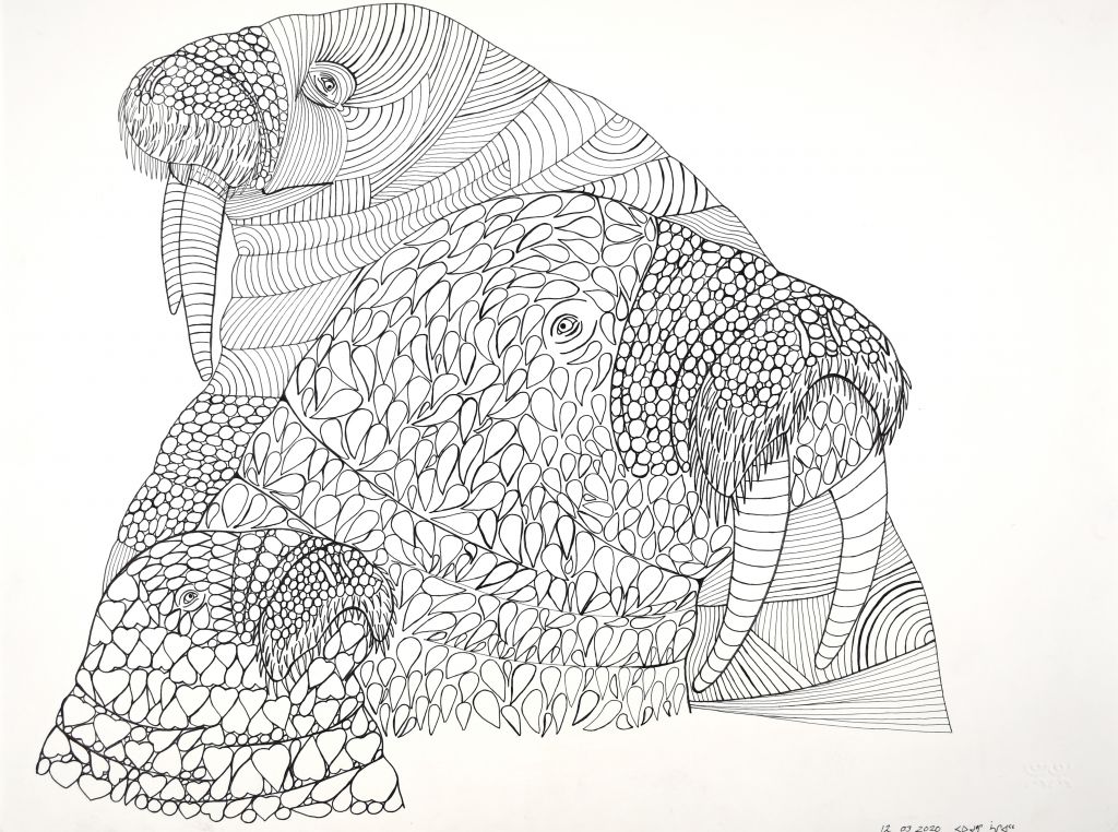 (Untitled) Walruses