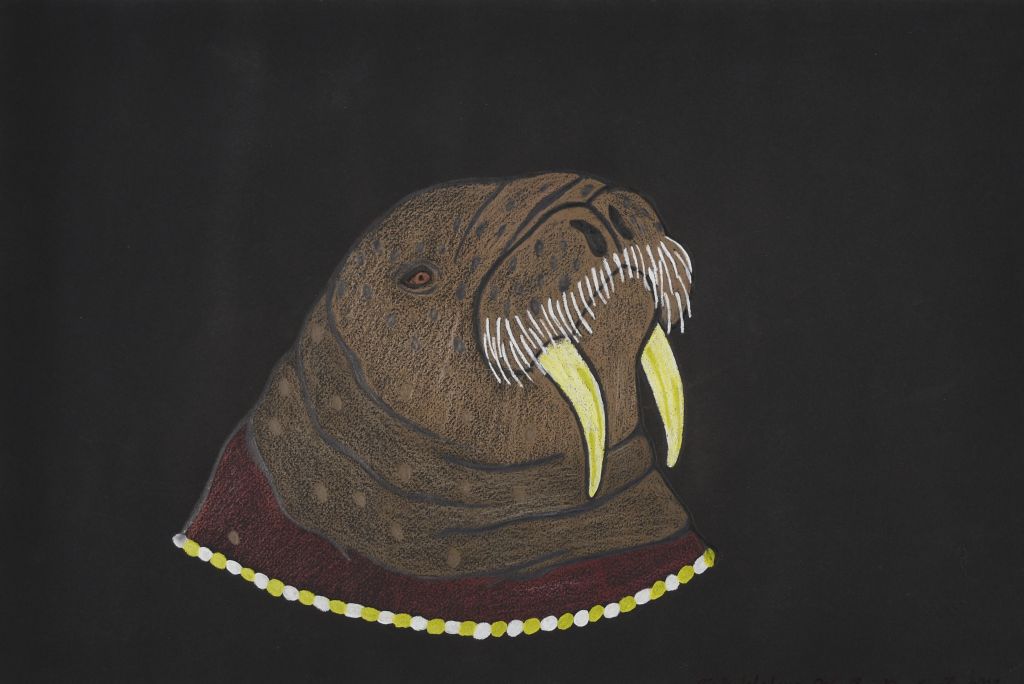 (Untitled) Walrus