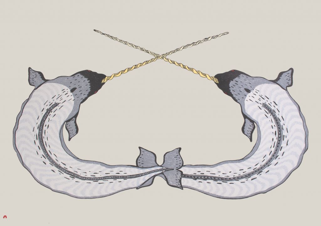 Sparring Narwhals
