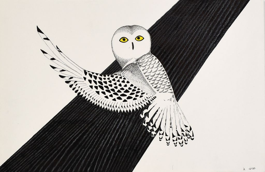 (Untitled) Owl