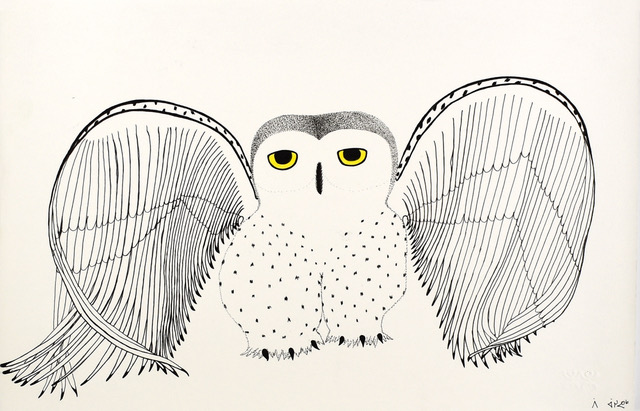 Untitled (Owl)