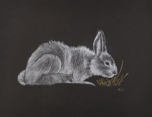 Untitled (Rabbit)