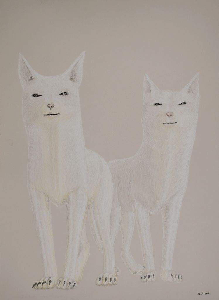 Untitled (Foxes)