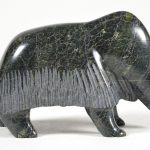 Muskox