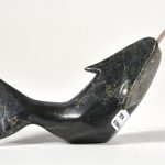 Narwhal