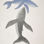 Untitled (Whales)