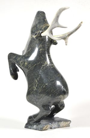 Rearing Caribou