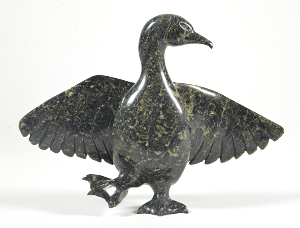 Dancing Bird