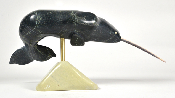 Narwhal