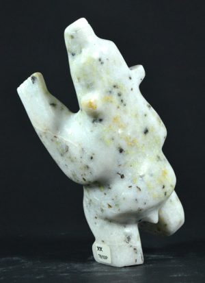 Dancing Bear