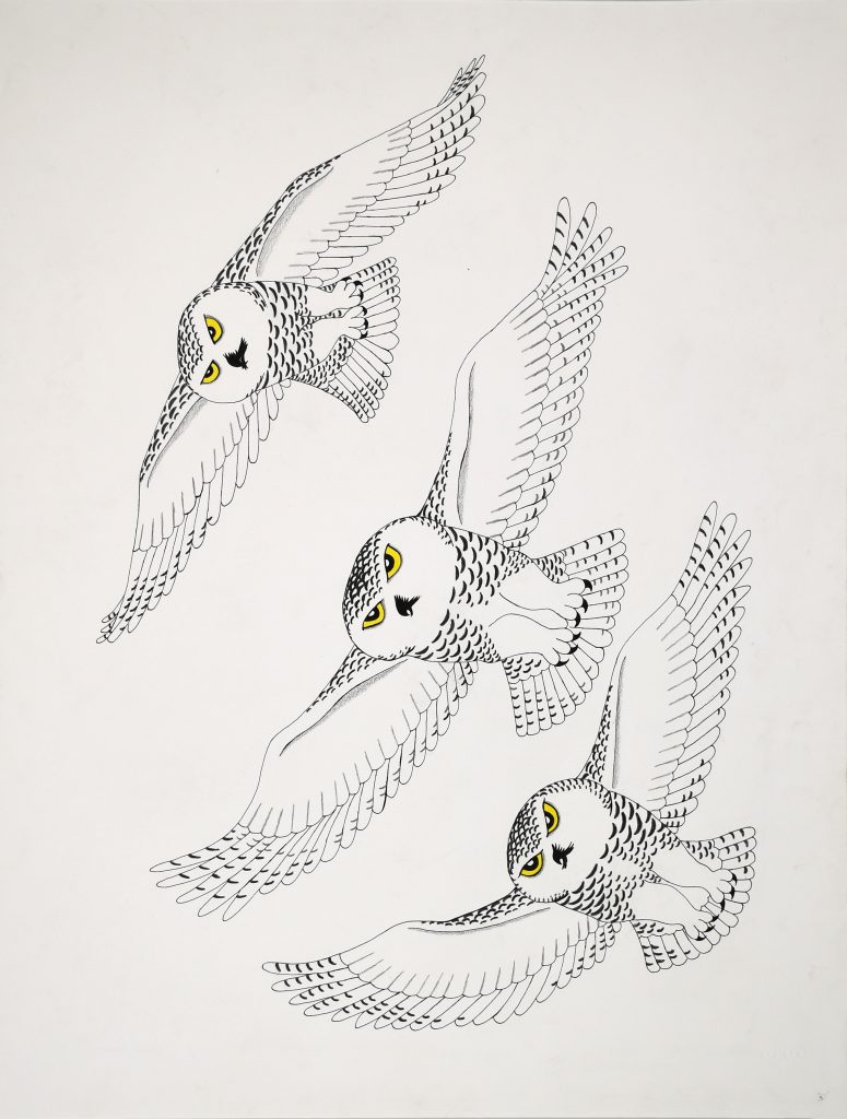 Group of Owls