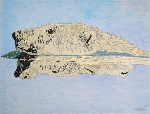 Untitled Drawing (Bear Reflection)