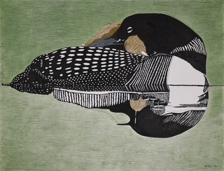 Untitled Drawing (Loon & Chick Reflection)